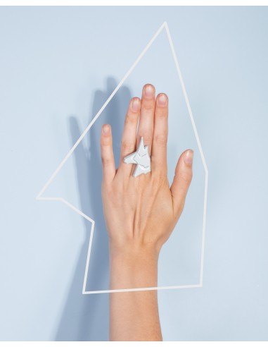 Anillo Artic