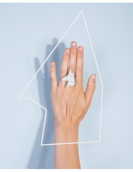 Anillo Artic